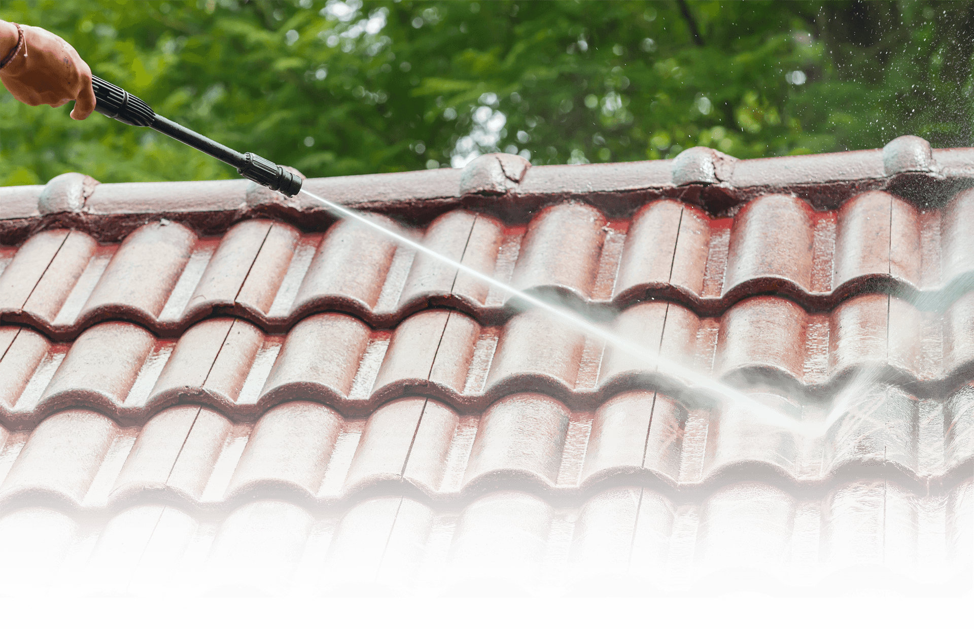 Best Roof Cleaning Services Near Me - 405+ Reviewed, Find ...